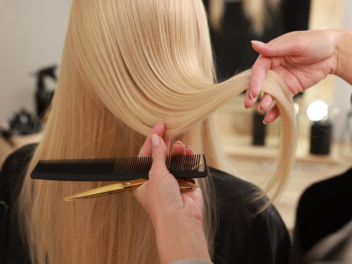 shutterstock_2529972233_cropped_resized